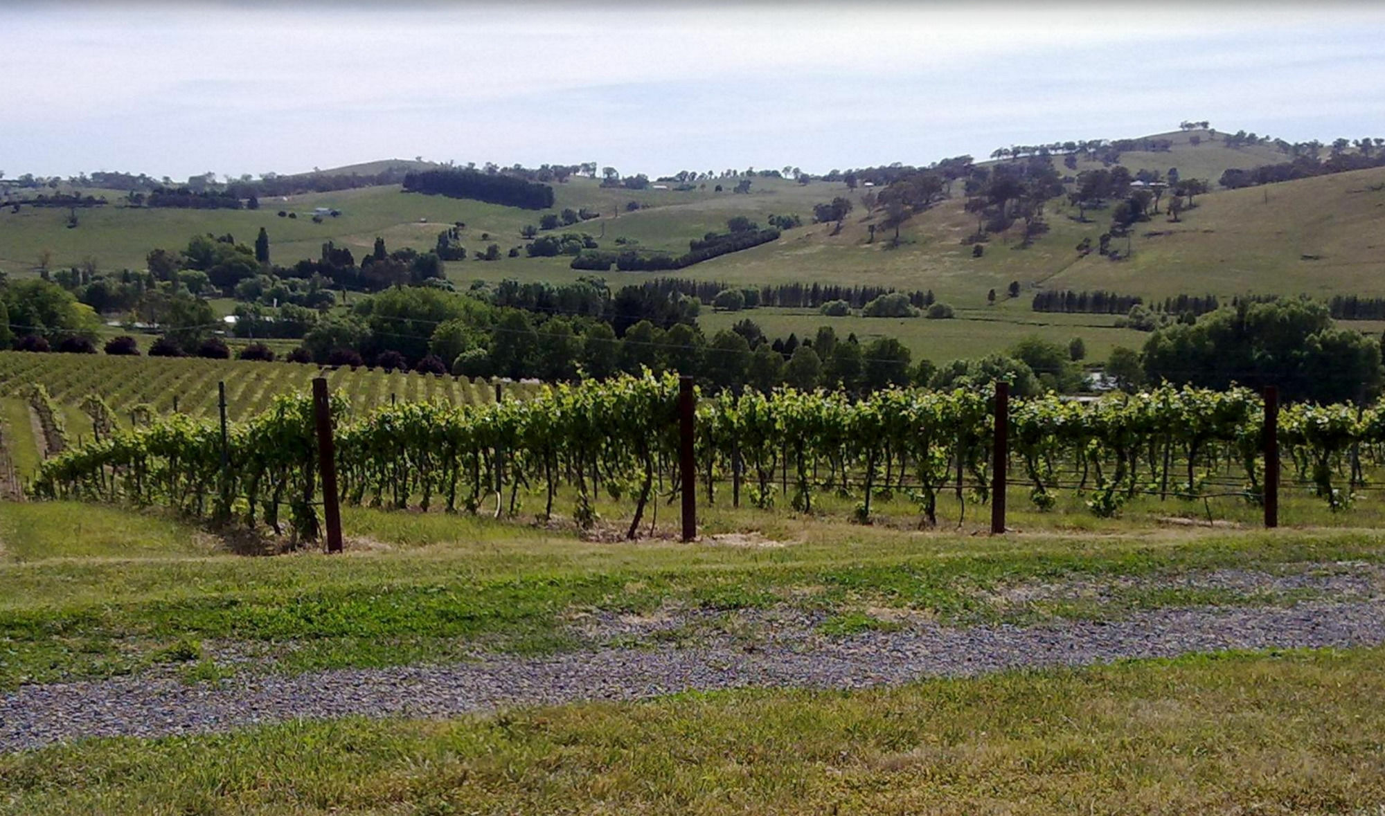 Turners Vineyard Motel Orange Exterior photo